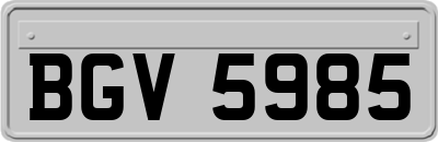 BGV5985