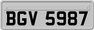 BGV5987