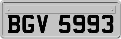 BGV5993