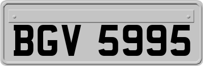 BGV5995
