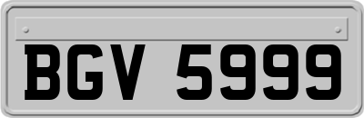 BGV5999