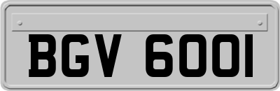 BGV6001