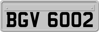 BGV6002