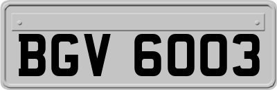 BGV6003