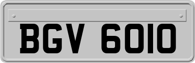 BGV6010