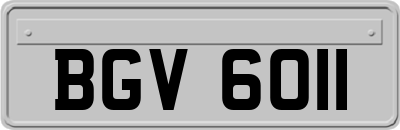 BGV6011