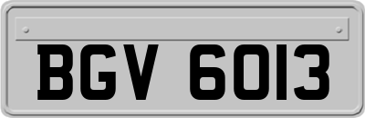 BGV6013