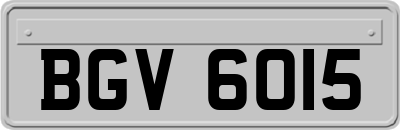 BGV6015