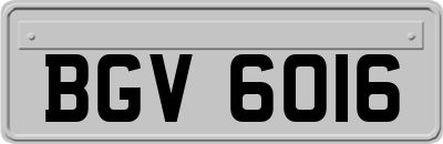 BGV6016