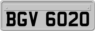 BGV6020