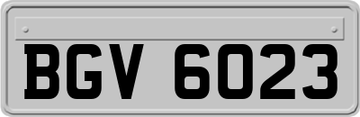BGV6023