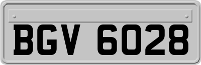 BGV6028