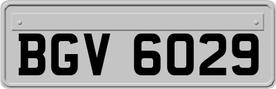 BGV6029