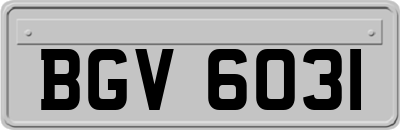 BGV6031
