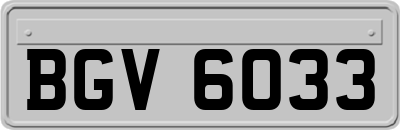 BGV6033