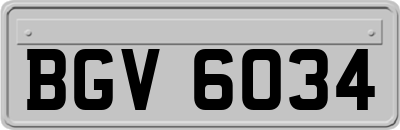 BGV6034