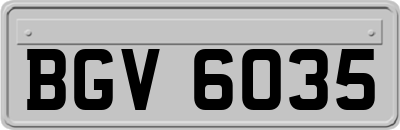 BGV6035