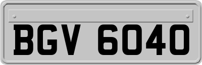 BGV6040