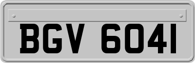 BGV6041
