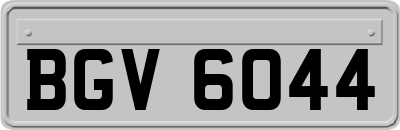 BGV6044