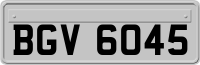 BGV6045