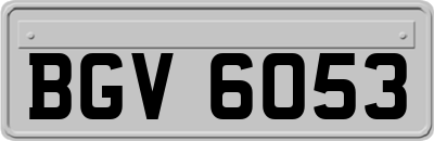 BGV6053