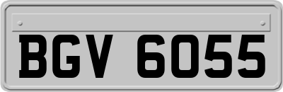 BGV6055