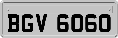BGV6060
