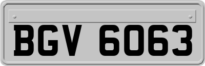 BGV6063