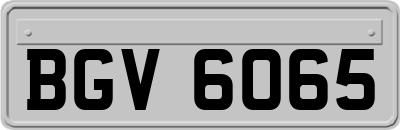 BGV6065