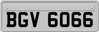BGV6066