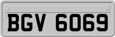 BGV6069