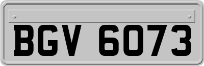 BGV6073