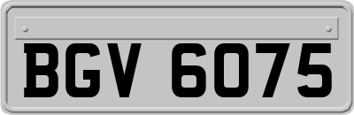 BGV6075