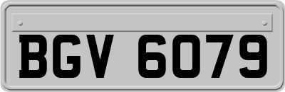 BGV6079
