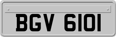 BGV6101