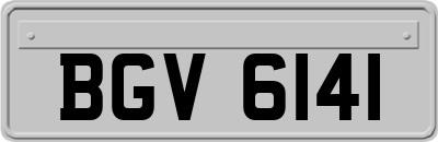 BGV6141