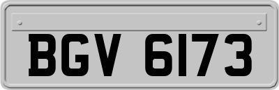 BGV6173