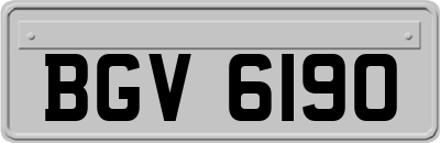 BGV6190