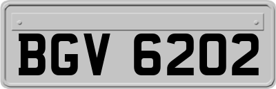 BGV6202