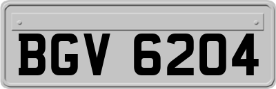 BGV6204