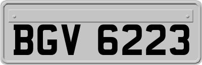 BGV6223