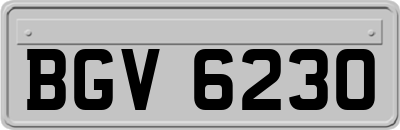 BGV6230