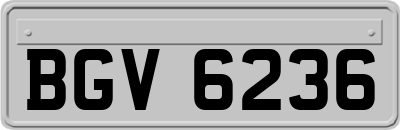 BGV6236