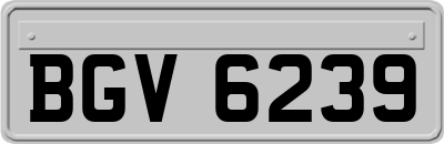 BGV6239