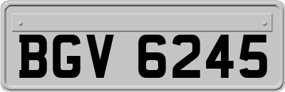 BGV6245