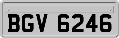 BGV6246