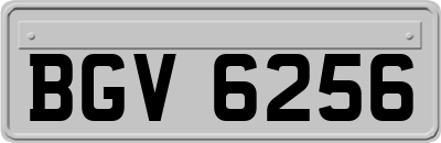BGV6256