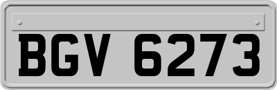 BGV6273