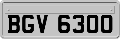 BGV6300